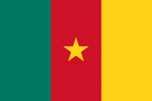 Kamerun flagga - Drapeau du Cameroun