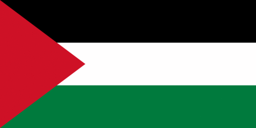 Flag of Palestine - علم فلسطين