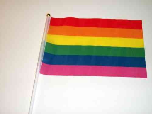 Regnbågsflaggan - LGBT pride handflagga
