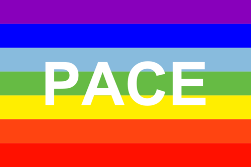 Rainbow PACE flag - LGBT pride flag